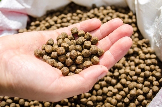 High-purity GML feed additive supporting stable gut antimicrobial performance