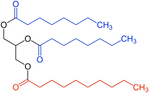 Medium Chain Triglycerides support animal gut health and energy
